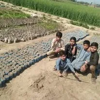 Green Seekers Activity